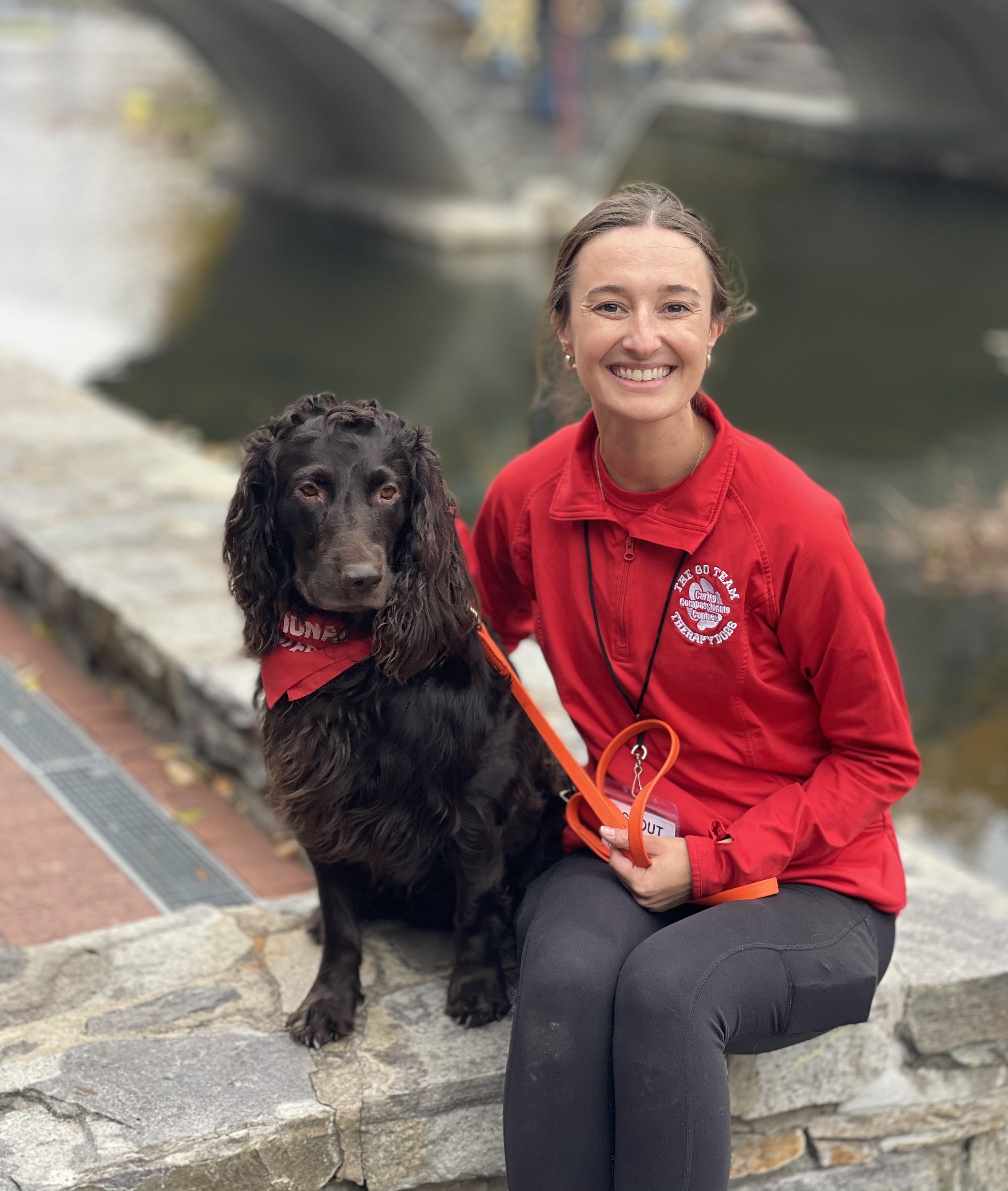 Meet Gingr Burlington - Download Artistic Minimal Wallpaper | Ultra HD